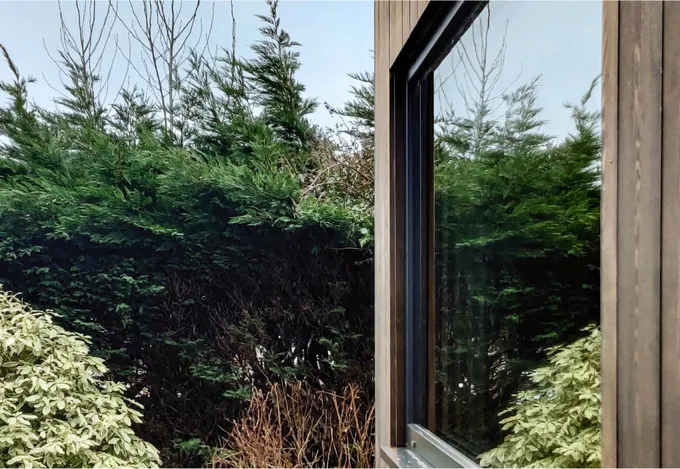 This photograph captures an external house extension, displaying a slender, dark-framed window that reflects the surrounding garden's vibrant greenery and the expansive blue sky. The contrasting dark oak timber cladding on the extension's facade harmonizes beautifully with the various shades of green seen in the garden, creating a captivating visual contrast.